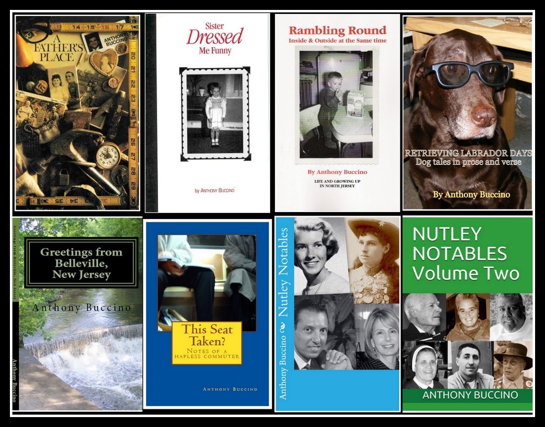 Nonfiction books by Anthony Buccino