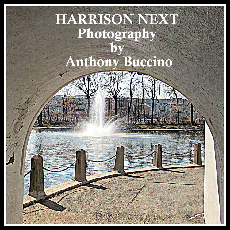 HARRISON NEXT Photography by Anthony Buccino