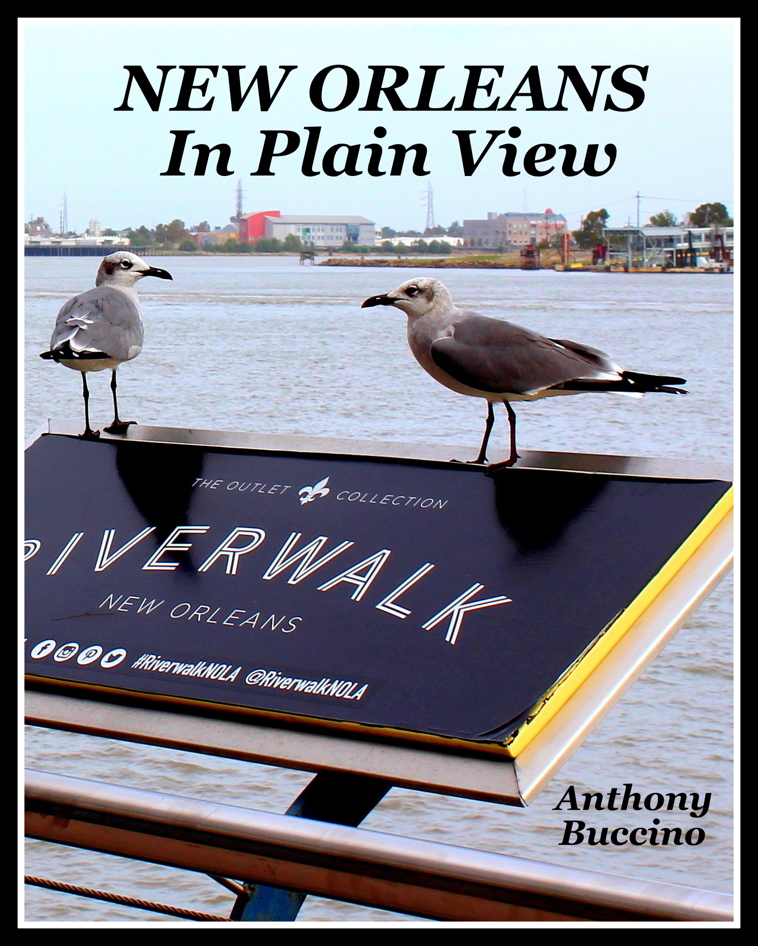 New Orleans In Plain View  by Anthony Buccino, photography