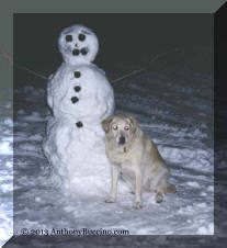 Stormi and her snowman, Copyright  2002- Anthony Buccino