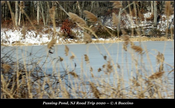 Roadside Pond, Northwest NJ Road Trip 2020,  A Buccino 