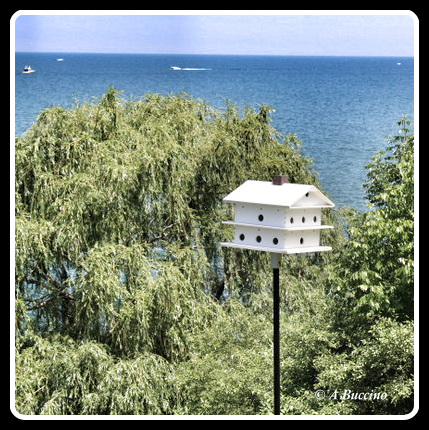 bird sanctuary and lookout, Lake Erie, Willoughby Ohio,  A Buccino 