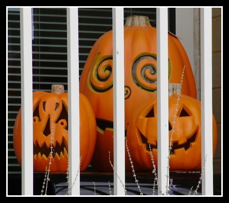 PUMPKINS by Anthony Buccino