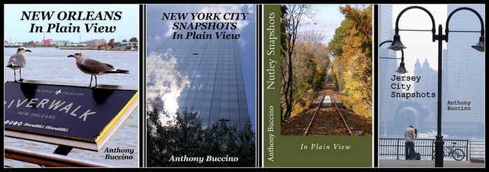 Photo Collections - New Orleans in Plain View, NYC In Plain View, JC Snapshots, Nutley Snapshots, photo books by Anthony Buccino