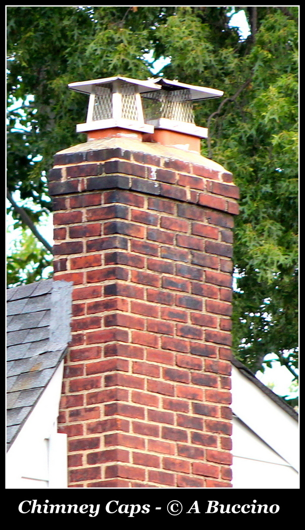 Chimney caps save lives, keep birds out, Photo: Anthony Buccino