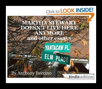 Martha Stewart Doesn't Live Here Anymore - a chapbook by Anthony Buccino
