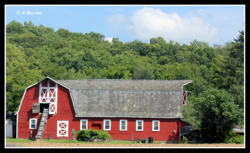 Red Barn, NJ Roadtrip, Barns, Sussex County, July 2023,  A Buccino