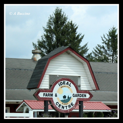Ideal Farm & Garden Centre, NJ Roadtrip, Barns, Sussex County, July 2023,  A Buccino