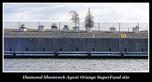 Diamond Shamrock 'Agent Orange' Site-photo Anthony Buccino