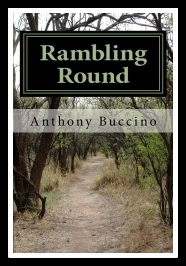 Rambling Round - Inside and Outside at the Same Time by Anthony Buccino