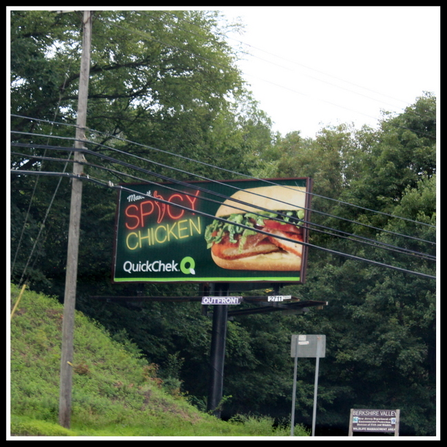 Route 15 Billboard, Northwest NJ Road Signs,  Anthony Buccino 
