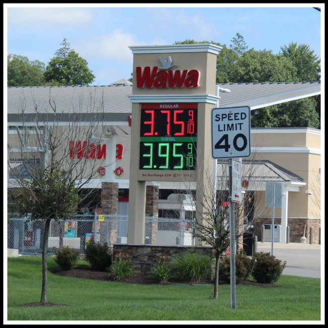 Wawa, gas station, Northwest NJ Road Signs,  Anthony Buccino 