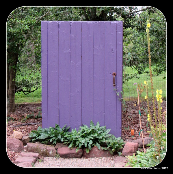 Purple Door! Willowwood Arboretum, ©ABuccino 2023