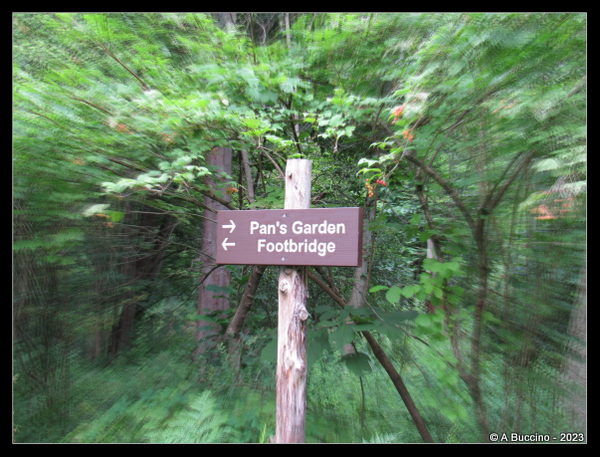 Pan's Garden, Willowwood Arboretum, ©ABuccino 