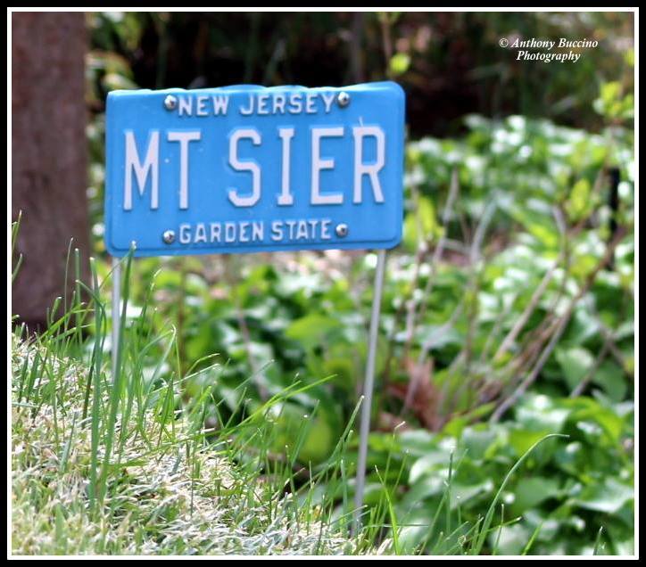 Mt Sier, Garden State License Plate, NJ, 2017  Anthony Buccino Photography, Mountsier Garden, Nutley NJ