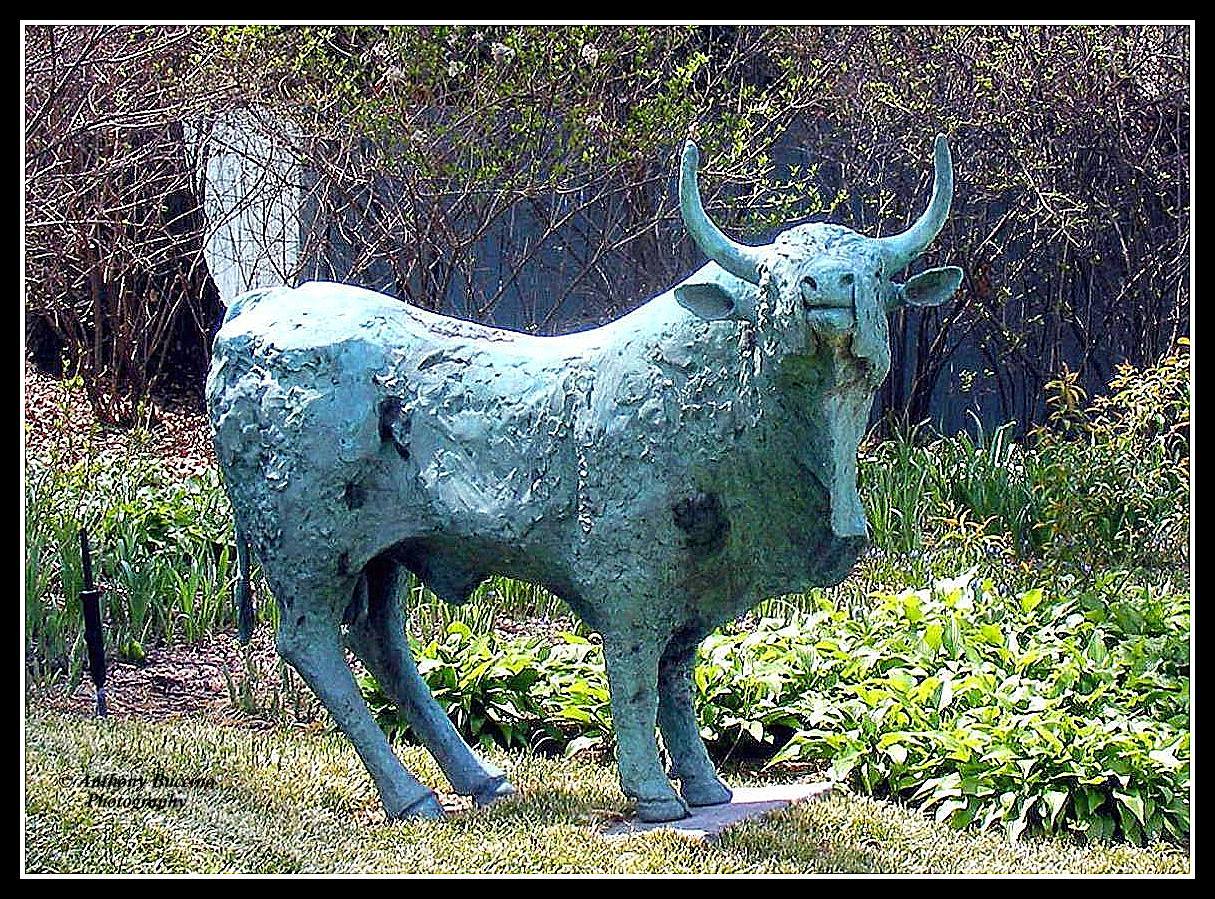 Sculpture, bull, 2017  Anthony Buccino Photography, Mountsier Garden, Nutley NJ