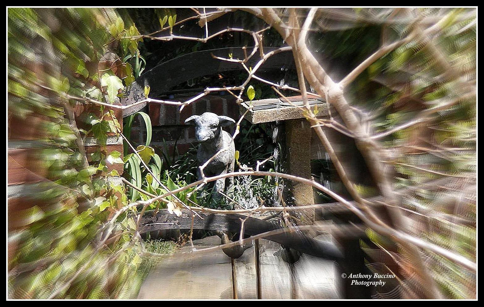 Sculpture, 2017  Anthony Buccino Photography, Mountsier Garden, Nutley NJ