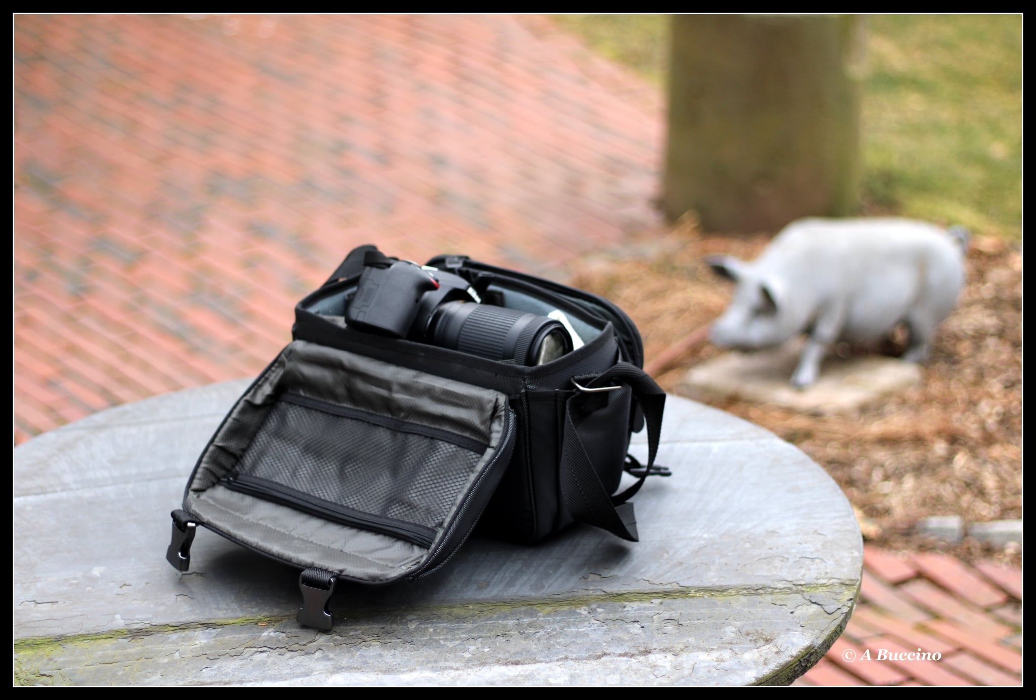 Linda Buset's Camera & Bag; 2021  Anthony Buccino Photography, Mountsier Garden, Nutley NJ