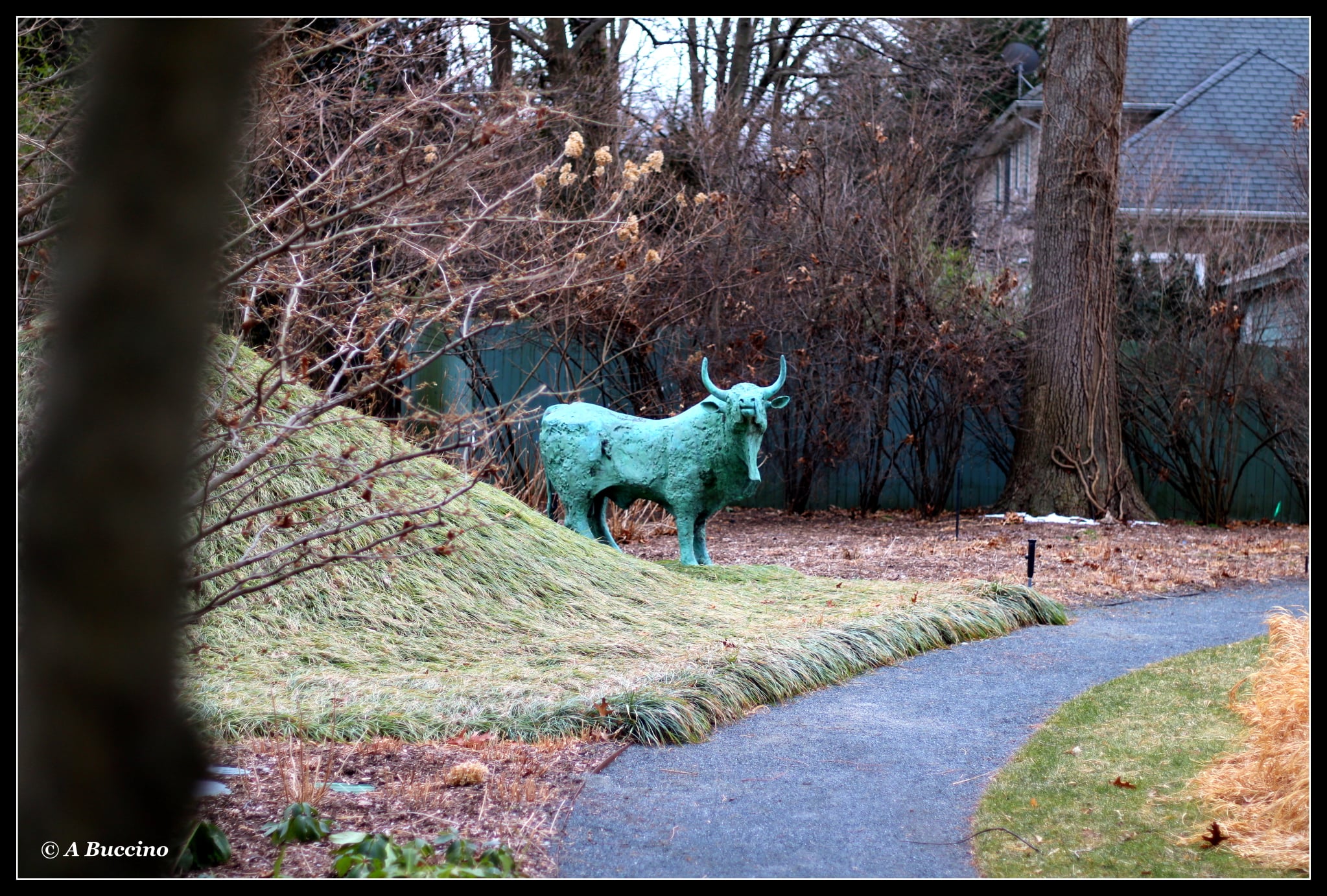 THAT'S SOME BULL; 2021  Anthony Buccino Photography, Mountsier Garden, Nutley NJ