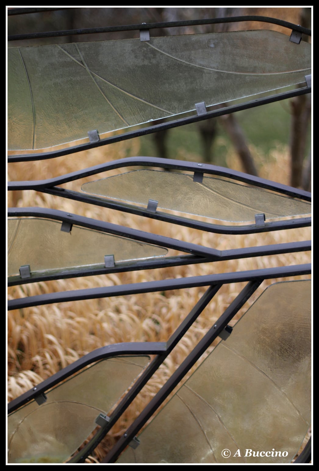 GLASS PANELS; 2021  Anthony Buccino Photography, Mountsier Garden, Nutley NJ