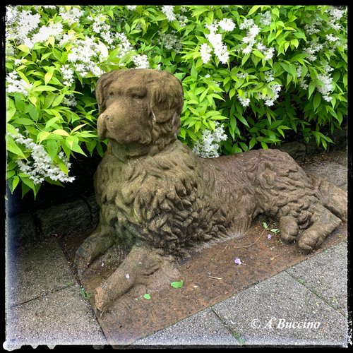 WATCHDOG ON ALERT: Mountsier Garden sculpture, May 2022  Anthony Buccino, Nutley NJ, private garden