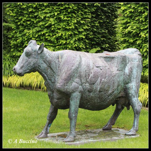 COW OUTSTANDING IN HER FIELD; Mountsier Garden sculpture, May 2022  Anthony Buccino, Nutley NJ, private garden