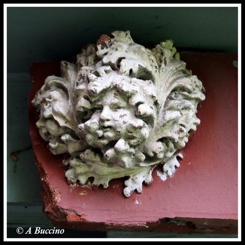 CAULIFLOWER; Mountsier Garden sculpture, May 2022  Anthony Buccino, Nutley NJ, private garden