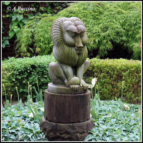 LION JUDGE OVER ALL; Mountsier Garden sculpture, May 2022  Anthony Buccino, Nutley NJ, private garden