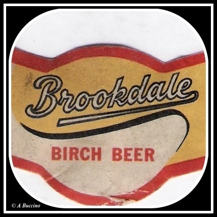 Birch Beer soda, Brookdale Beverages, 2023  A Buccino, Pride of the Garden State