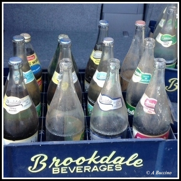 Brookdale Beverages, 2023  A Buccino, Pride of the Garden State