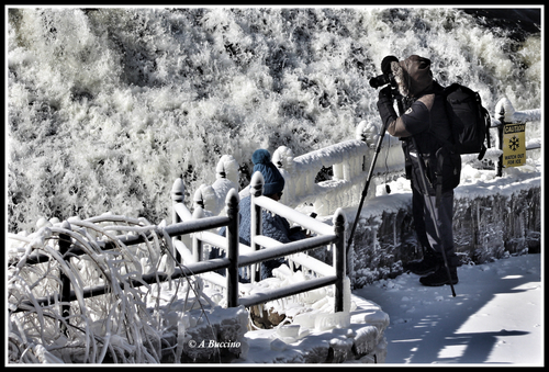Camera man, Art in Ice, Paterson Great Falls, © A Buccino