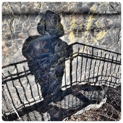 Eerie Shadow on the Passaic River, Art in Ice, Paterson Great Falls, © A Buccino