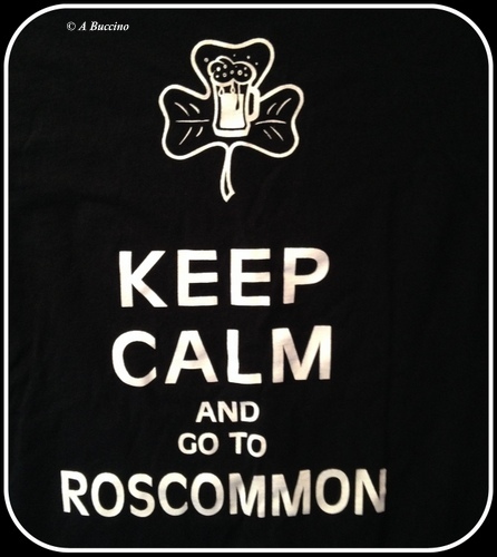 Keep Calm and go to Roscommon, Michael’s Roscommon House, photos © 2023 A Buccino