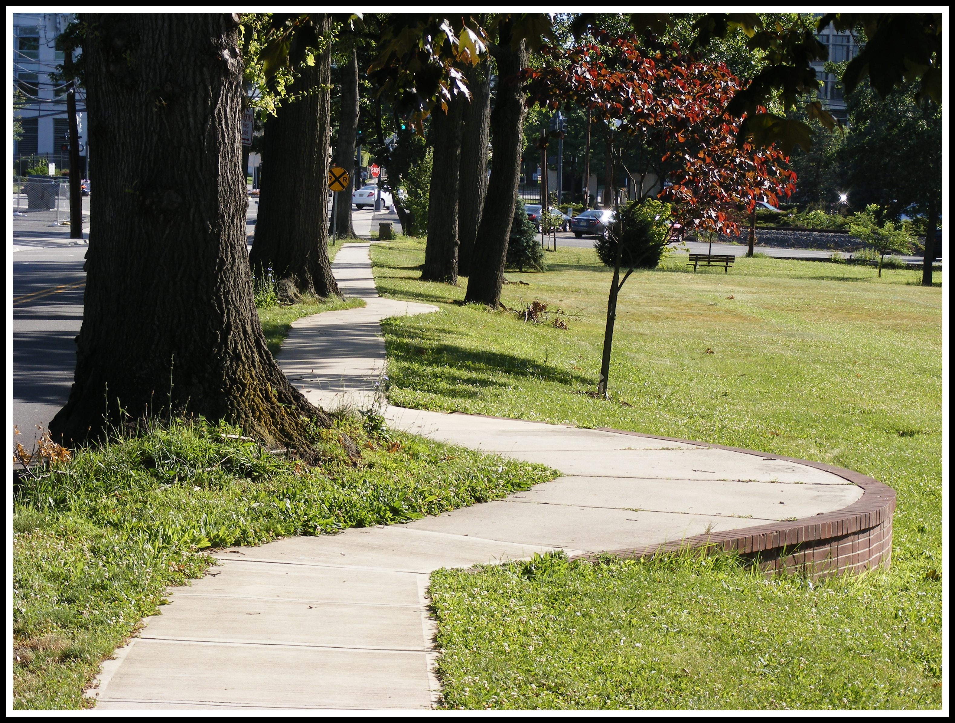 Nichols Park, Nutley NJ by Anthony Buccino