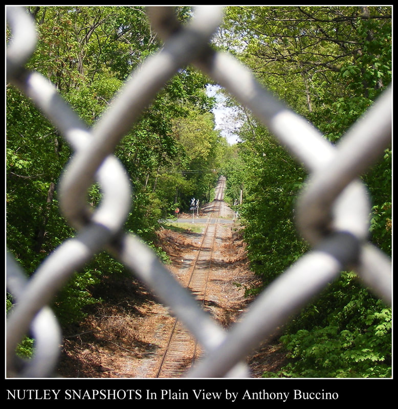 NUTLEY NJ in Plain View by Anthony Buccino, bridges, railroads