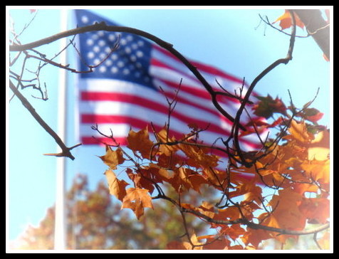 Nutley Park Oval, US Flag in autum by Anthony Buccino