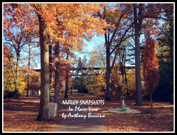 Nutley Snapshots in Plain View by Anthony Buccino