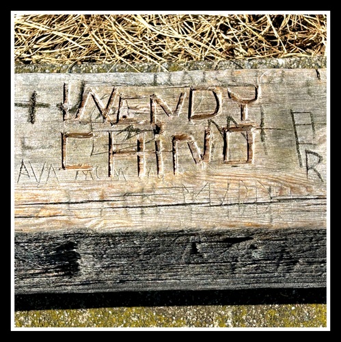 Wendy, Chino, forever. I-80E Scenic Lookout, Allamuchy NJ, 2023, © A Buccino