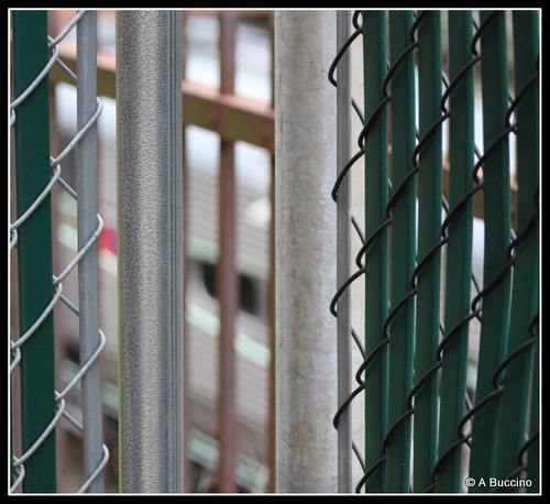 NJ Transit Train Whizzes By, Street photography, Summit NJ, by Anthony Buccino 