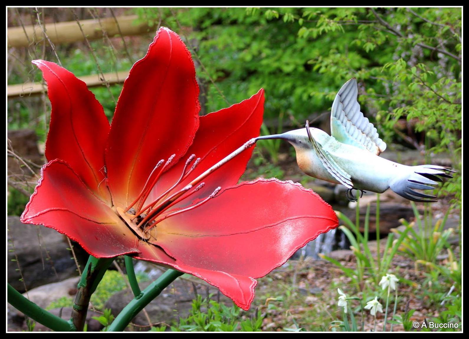 Reeves-Reed Arboretum, Summit, NJ,  Anthony Buccino 