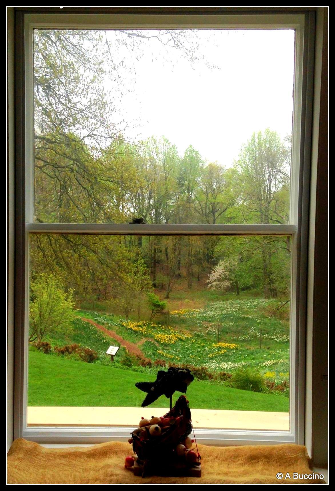 Reeves-Reed Arboretum, Summit, NJ,  Anthony Buccino 