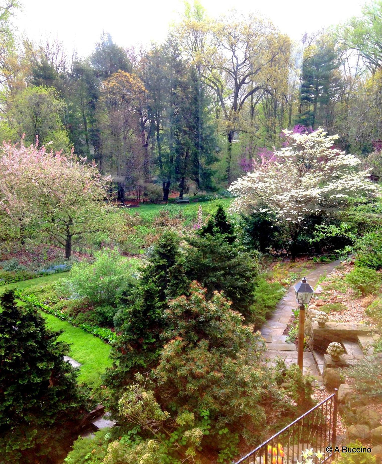 Reeves-Reed Arboretum, Summit, NJ,  Anthony Buccino 