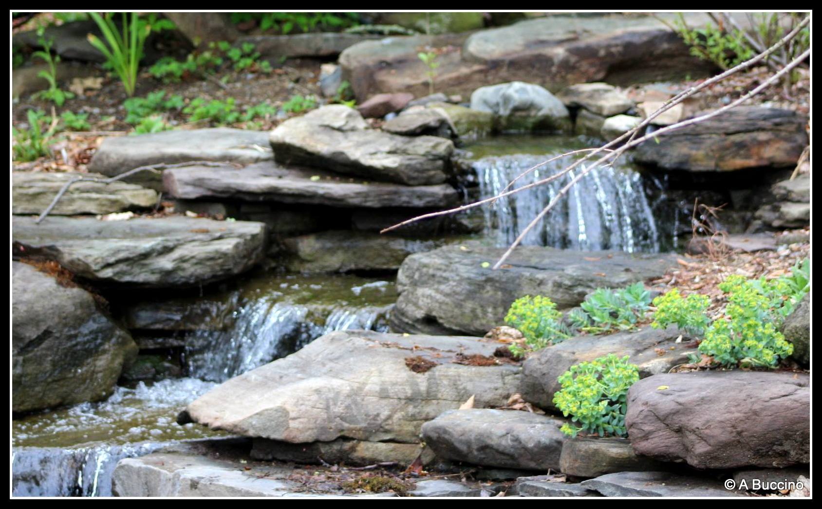 Reeves-Reed Arboretum, Summit, NJ,  Anthony Buccino 