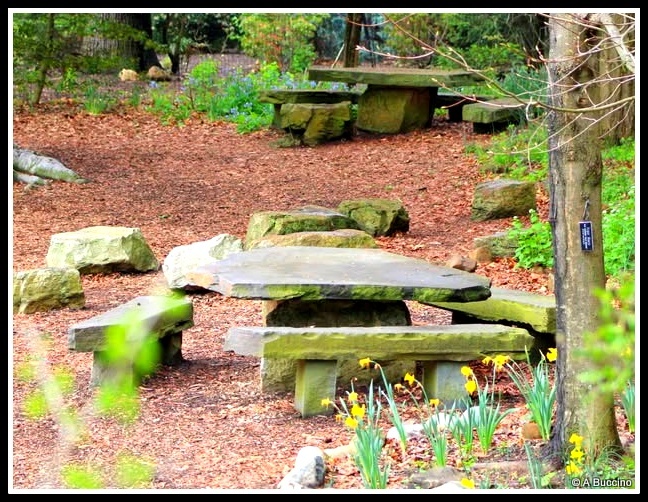 Glacial Tables, Reeves-Reed Arboretum, Summit, NJ,  Anthony Buccino 