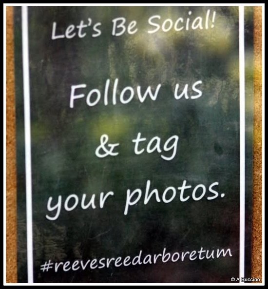 Reeves-Reed Arboretum, Summit, NJ,  Anthony Buccino 