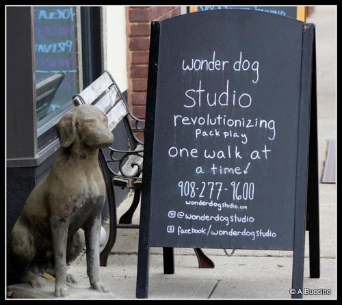 Wonder Dog Studio, Street photography, Summit NJ, by Anthony Buccino 