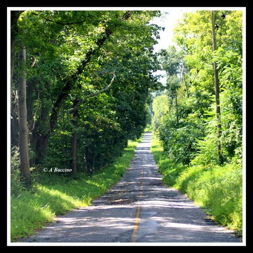 Blairstown back road, epitome of two-lane highway