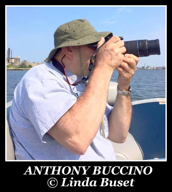 Anthony Buccino, photo by Linda Buset